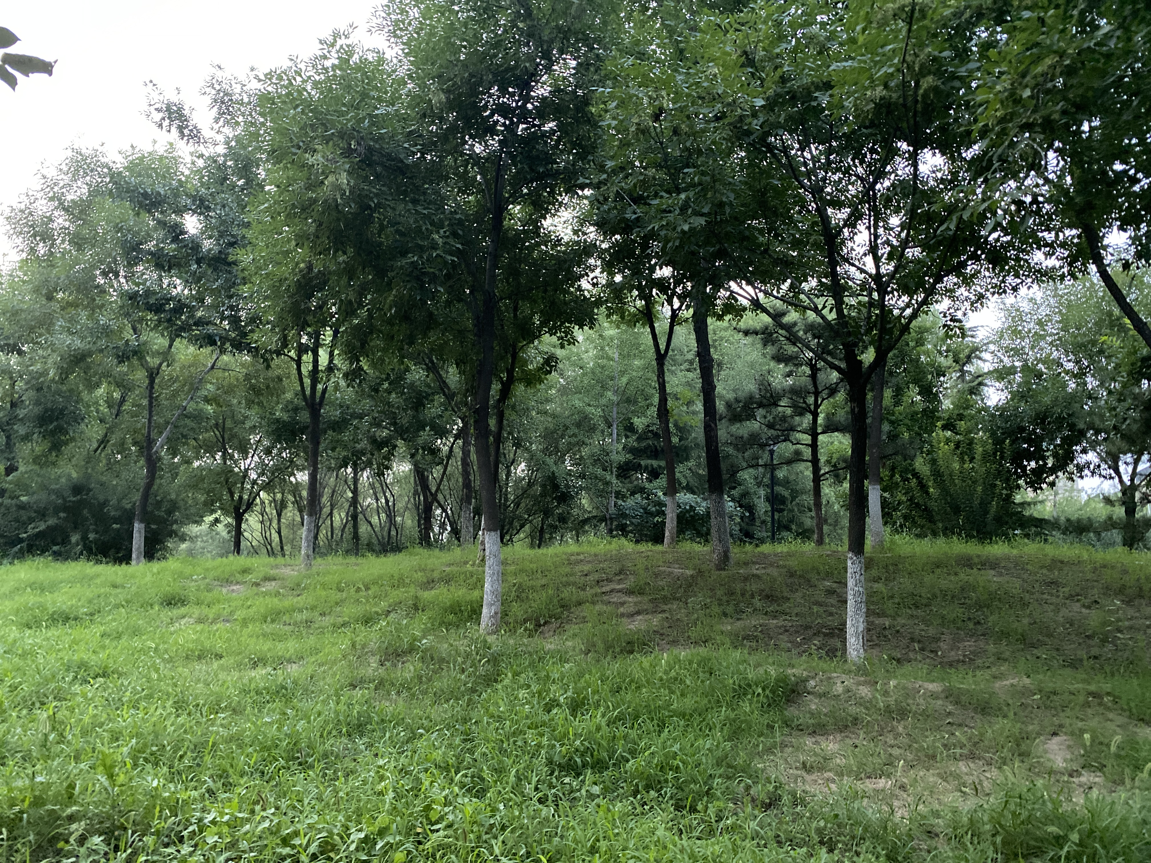 云岗,领秀翡翠山(a区)评价,业主点评,测评信息-北京幸福里