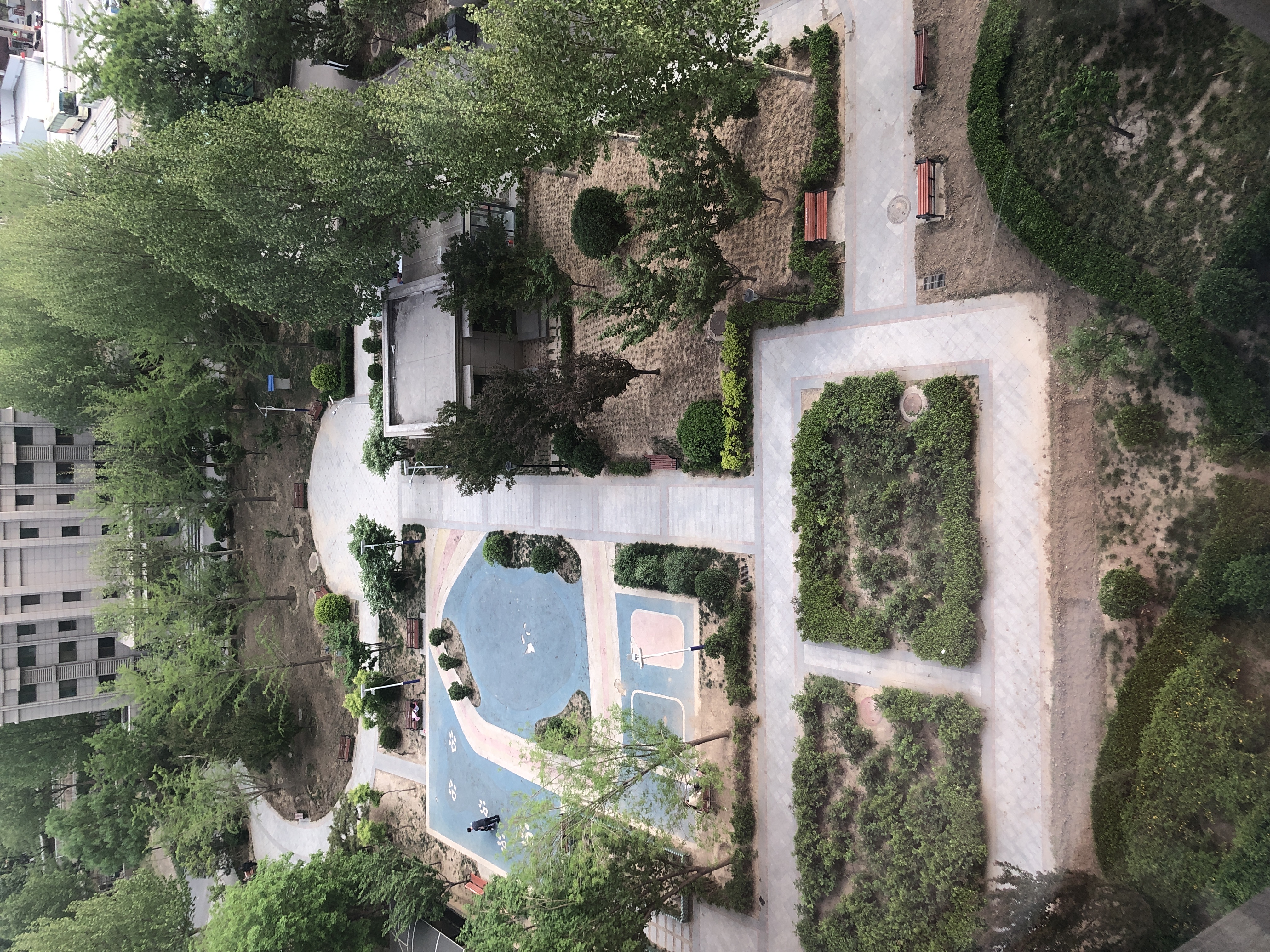 点评,朝阳公园东,东风苑小区