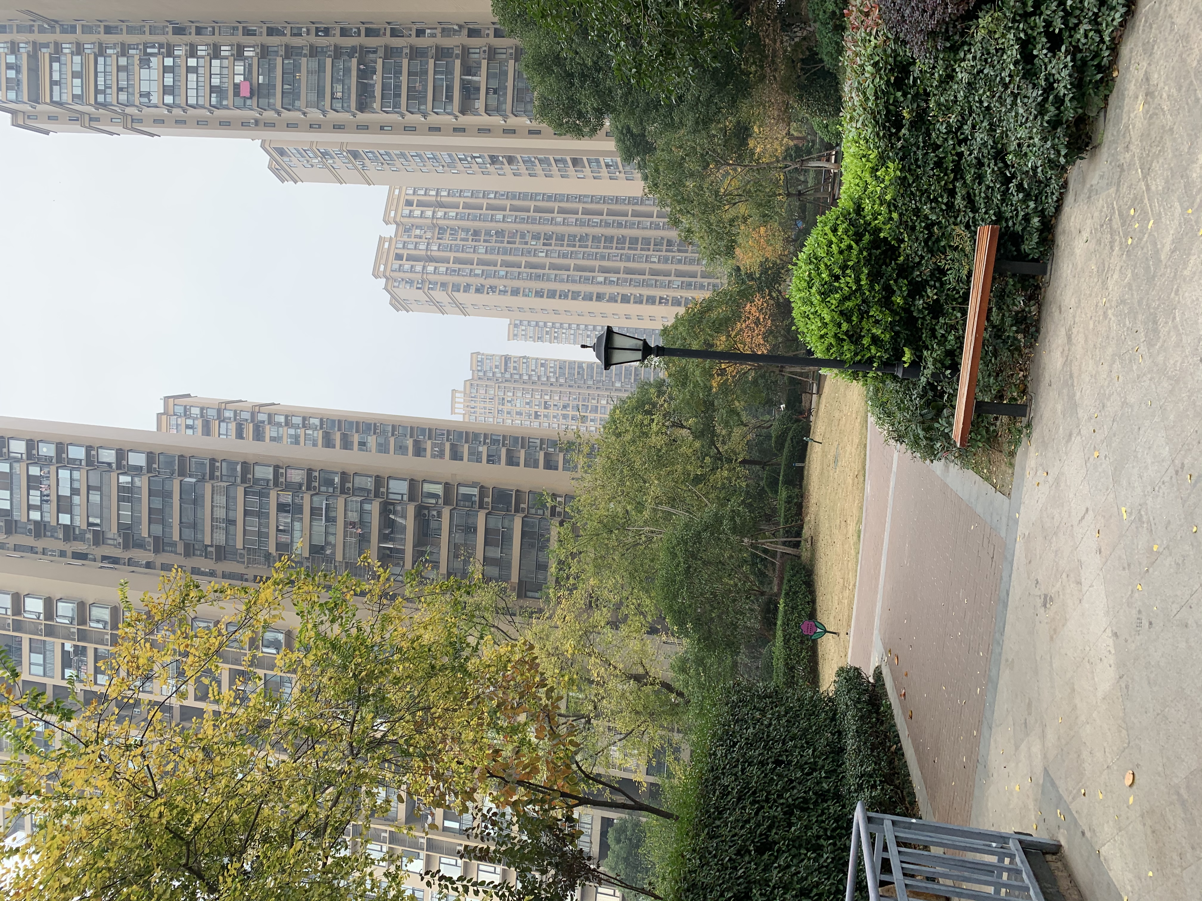 曙光星城(b区)点评,关山,曙光星城(b区)评价,业主点评,测评信息-武汉