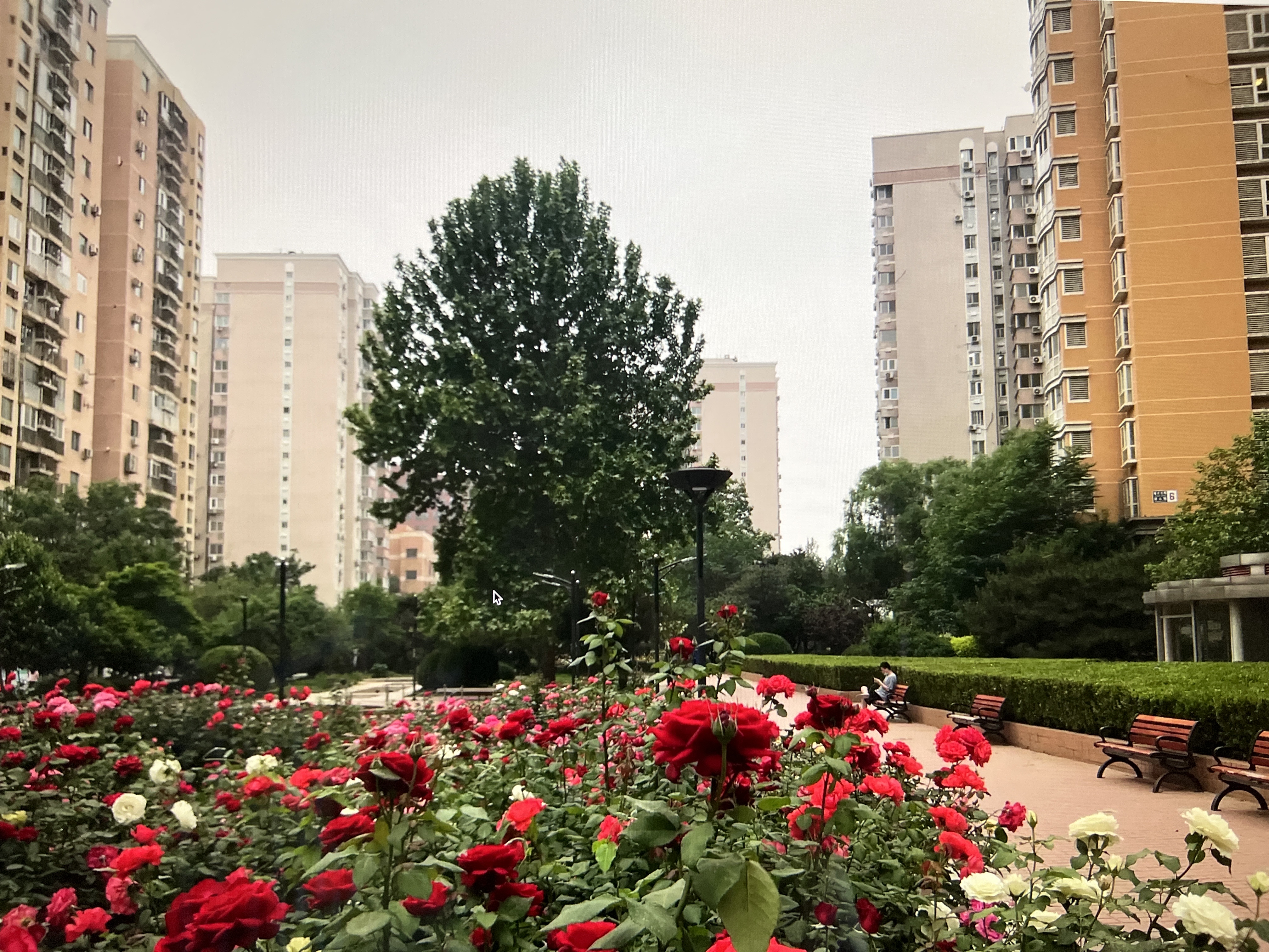 曙光花园(望山园)点评,定慧寺,曙光花园(望山园)评价,业主点评,测评