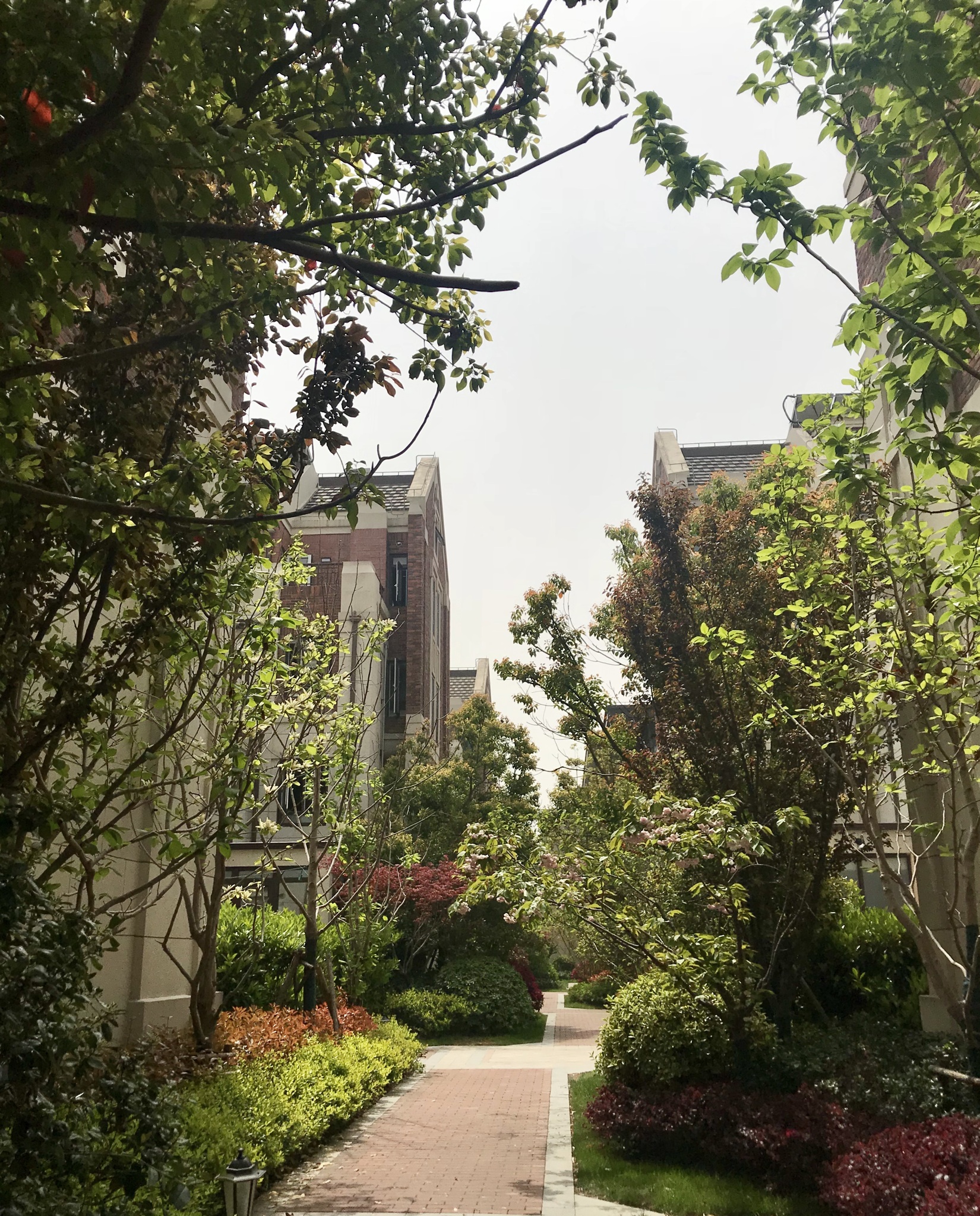 点评,洞泾,上坤旭辉墅