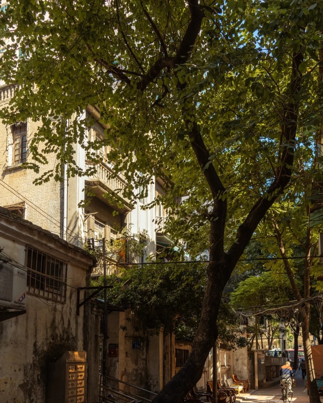 龙庭花园西区点评,古田路,龙庭花园西区评价,业主点评,测评信息-福州