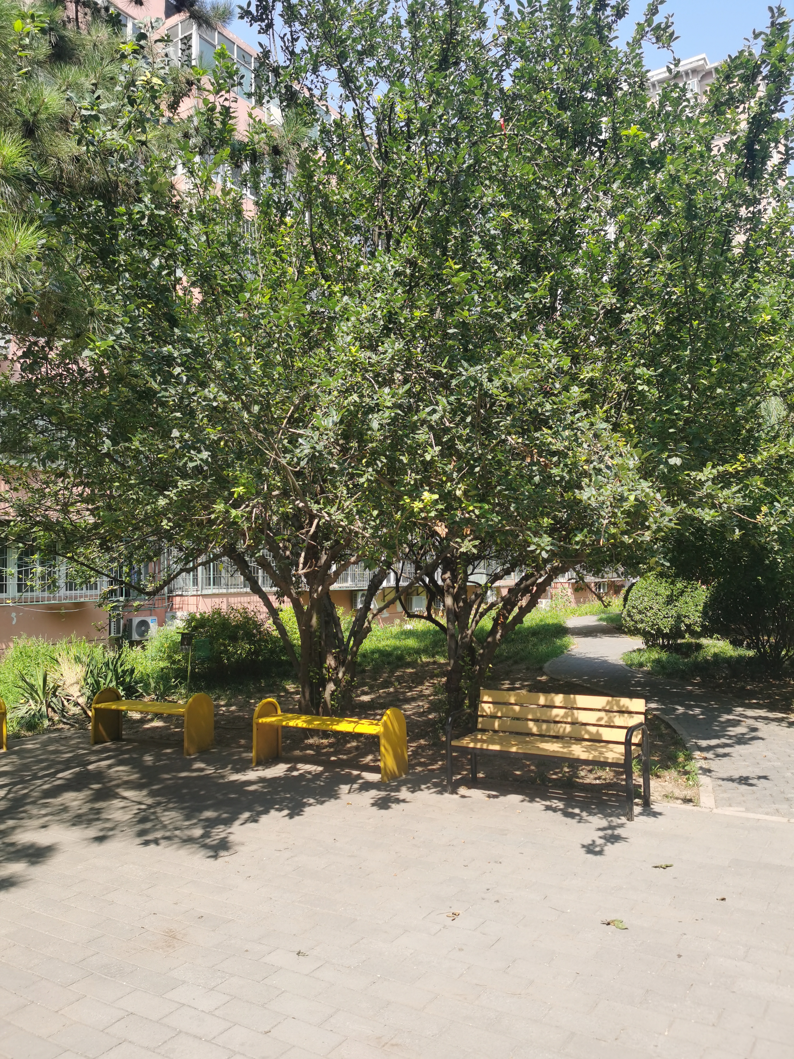 安慧北里(逸园北区)点评,亚运村,安慧北里(逸园北区)评价,业主点评
